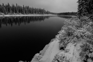DSC_5118
